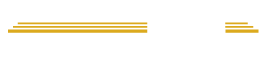 American University in Vietnam